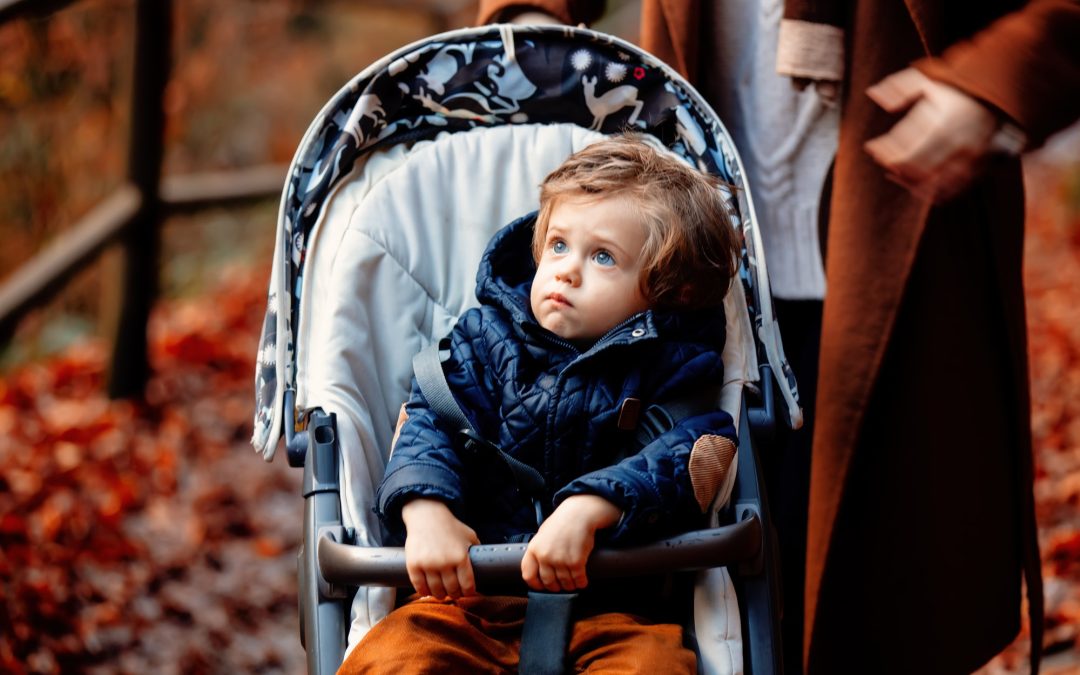 Stroll in Style: Comprehensive Review of the Best Strollers on the Market